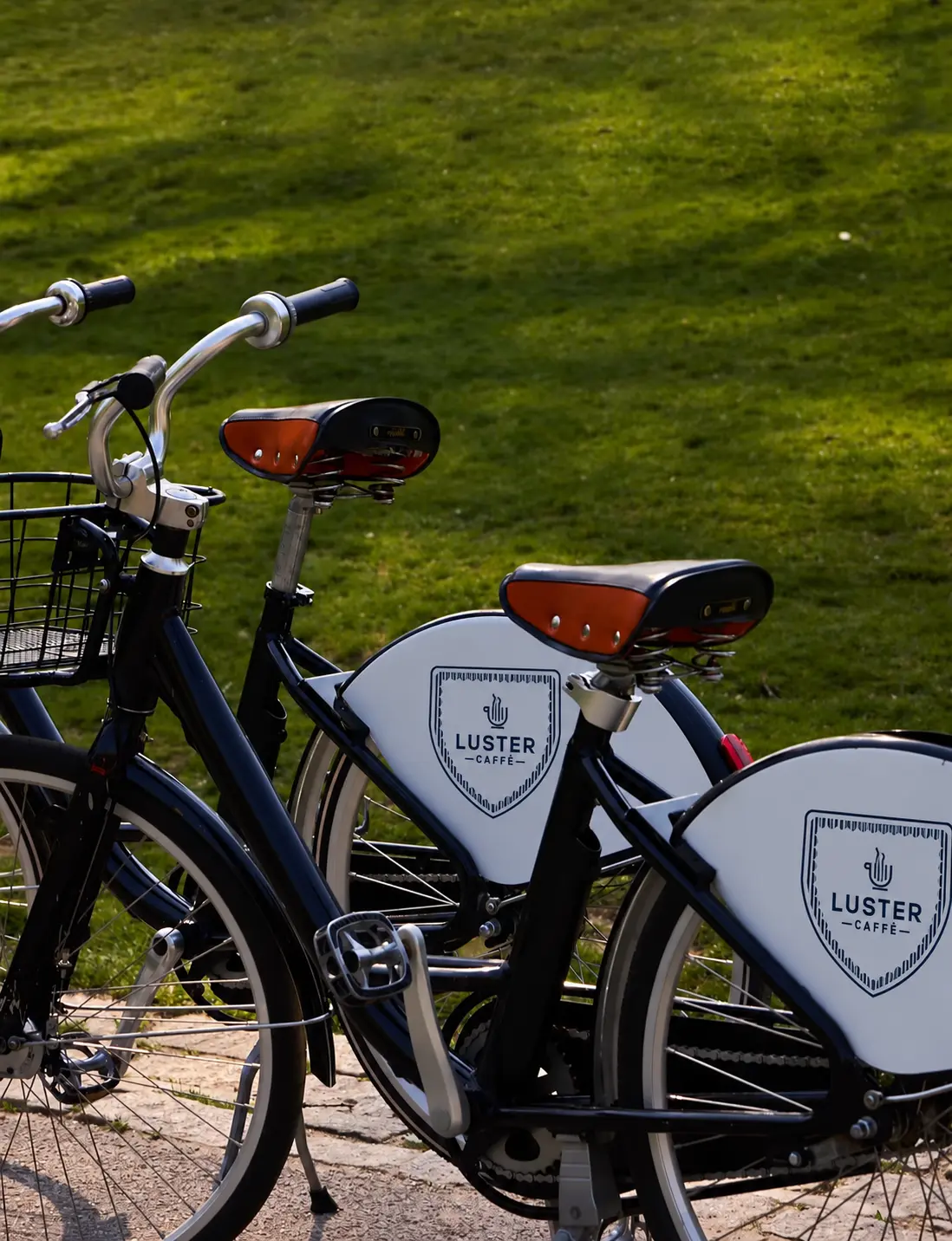 Classic Luster Caffè bicycles beside the lawn of a park